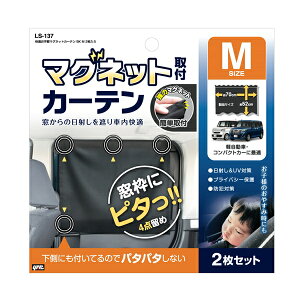 ���b�N ���K����y�}�O�l�b�g�J�[�e�� BK M 2������ 520mm×700mm �y�R���p�N�g�J�[�ɍœK LS137
