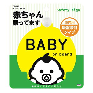 bN xr[TC z ی^ 1 ԓp ԂĂ܂ 㑱ԂɈŜm点 TS275