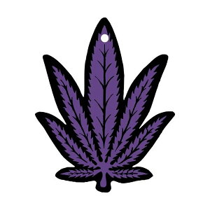 HEMP wv AF A XB[g L F ݂艺^Cv   gC rO  j[A[NX 051-005