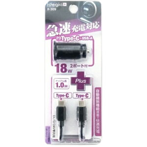 RpNgDC[dPD+QCP[uC/C [d YDC12/24Vԋp USB PD&C-C Cable ubN A[NX X-309