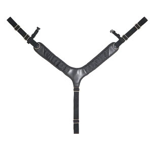 DBLTACT Y^TXy_[ OR[|[V DT-DSP-1