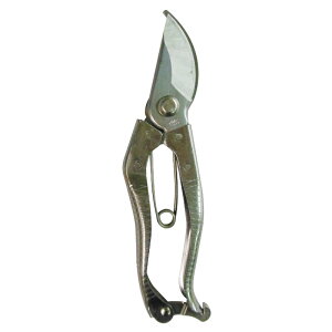 sita I[XeX͂ 200mm OR[|[V A046