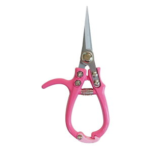 sita RpNg؂͂ OR[|[V A926