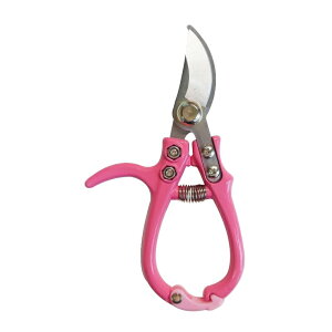 sita RpNg͂ OR[|[V A925