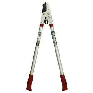 sita `Fbg} OR[|[V A514