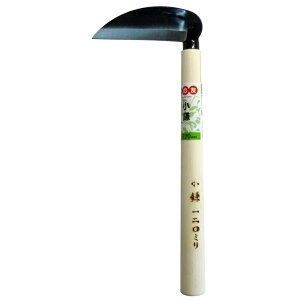 Ԃ̗F S| OR[|[V #932