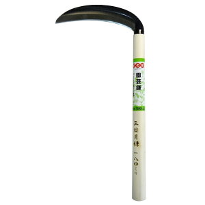 Ԃ̗F S| OR[|[V #933