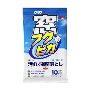 tNsJ 10  {fB ԗpi KX ~[ N[i[ ~ \tg99 04071