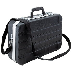 ABS�P�[�XABST-428 SK11 ABST-428 �����Y��