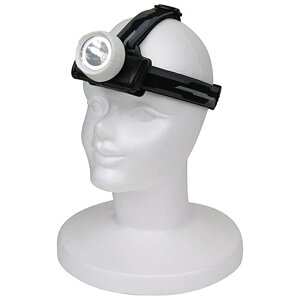 LED�w�b�h���C�g SK11 SLH-100BK/WH �����Y��