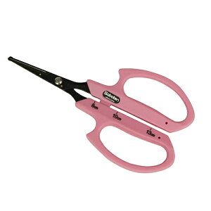 ۃtbfԂǂ B-6  K[fjO |pi p ΂ T{e 20017