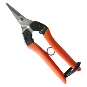 VCJbgB-8 NO.B-8  K[fjO |pi p ΂ T{e 20081