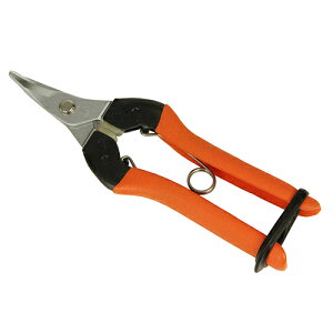 n͂ Ȑn AG-1  K[fjO |pi p ΂ T{e 20101