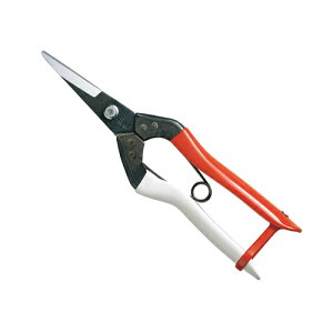 P  NO.304 S190mm n45mm d110g ObvFg