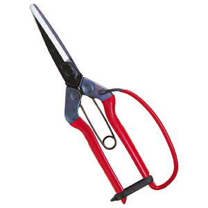 K[ht T-700G  K[fjO |pi p ΂ ߐ 01170