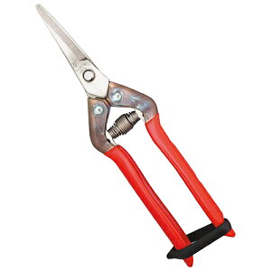 I[XeXn Ȑn T-55SR  K[fjO |pi p ΂ ߐ 01404