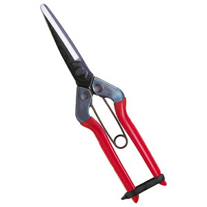  T-701  K[fjO |pi p ΂ ߐ 04320