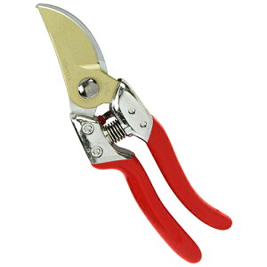 EgG8 PSA-G8  K[fjO |pi p ΂ ߐ 13121