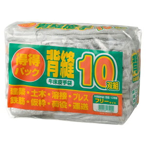 [wD10og FGC gNgNZkC10\EN~ xmO[u 17200 DIY H  ƕ Ɨp v