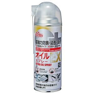 ICXv[ EX Nr[TP 420ML #873 C`lP~JY 10873 DIY H   