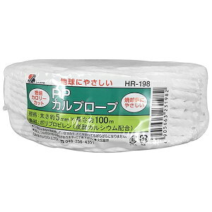 YJ[v  HR-198 5X100M OFY 23198 DIY H  e[v Ђ [v