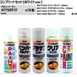 アストンマーチン AST5091D MAGMA MINIMIX スプレー 260ml 調合塗料 車 塗装 補修 holts ホルツ
