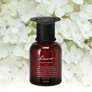 [m Lbh[W WMN tOX F e L zCgXN hNz_[ u^ Œe[vt J[Cg L-981