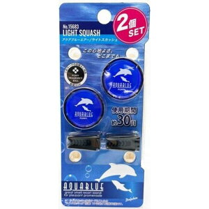 ANAu[GA[ CgXJbV ԗp F u[ CJ GARt RpNg u₩ 2 RpNg _CP~J 15683