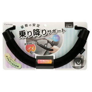 Obv 炳^Cv ubN O ԓ T|[gObY 肷 tbNt ו| ȒPݒu ~jo  ω׏d90kg  J[Cg CD29