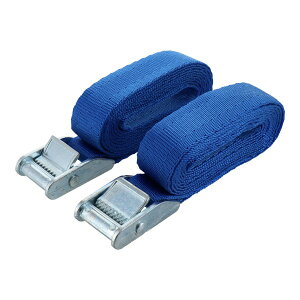 TRAD バックルカラー荷締ベルト2本入 25MM×2M 作業用品 軽量物 荷締め ブルー 簡単 2m ベルト式 結束固定 家庭内 倉庫内 荷崩れ防止 収納 三共CP TCB-22BL