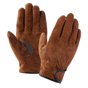 CgR IT|38 uE L  y z Ǝ ϋv _炩 }WbN Ae⋭ n[h[N  FGC 17510