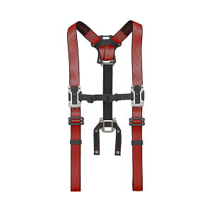 ZtTXy_[A  ^W} SFSAF-RE