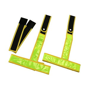 ˋrJ(ڕp) SK11 TL-RHG-NYFY