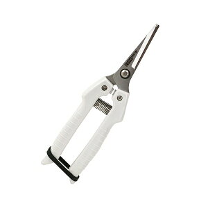 \͂AS Cg E-VALUE EMSL-180