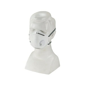 ĝĎh}XN2 SK11 No.9600-DS2V