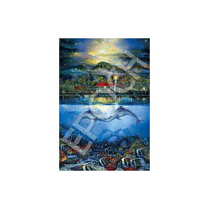 nCi o[Y ߋ  G|bN 28-338s