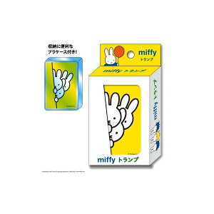 ~btB[ gv ߋ  GXJC 48246