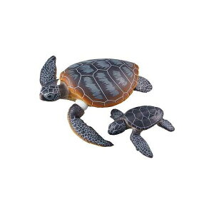 AjA AS-20 AIE~Keq(ɕVer.) ߋ  ^Jg~[ 13761