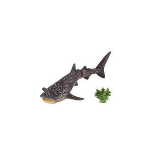 AjA AL-05 WxGU(ɕVer.) ߋ  ^Jg~[ 13762