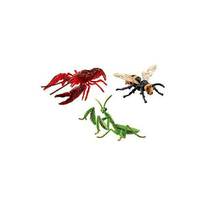 AjA 厩R̍ŋ̃Zbg ߋ  ^Jg~[ 92694