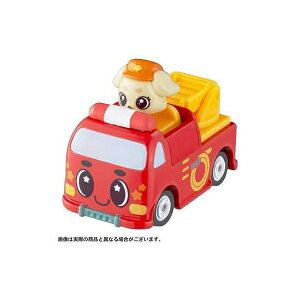 S[IS[Iс[邸[ с[邸[g~J Rƃt@C ̂̃X^[ ߋ  ^Jg~[ 94898