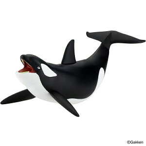 ŋ} ŋog\tr V` ߋ  o_C 00555