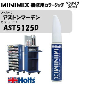 アストンマーチン AST5125D MARRON BLACK MINIMIX カラータッチ 20ml 調合塗料 車 塗装 補修 holts ホルツ