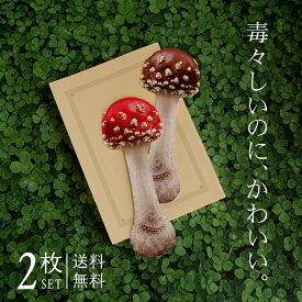 しおり 毒キノコ 2枚セット 【送料無料】 紙 栞 文庫本 高品質印刷 両面 おしゃれ SHIORI かわいい 可愛い リアル アート 毒きのこ ベニテングタケ テングタケ ダイカット ダイカット レーザーカット プチギフト プレゼント 贈り物 引越し挨拶 ハロウィン クリスマス 安い