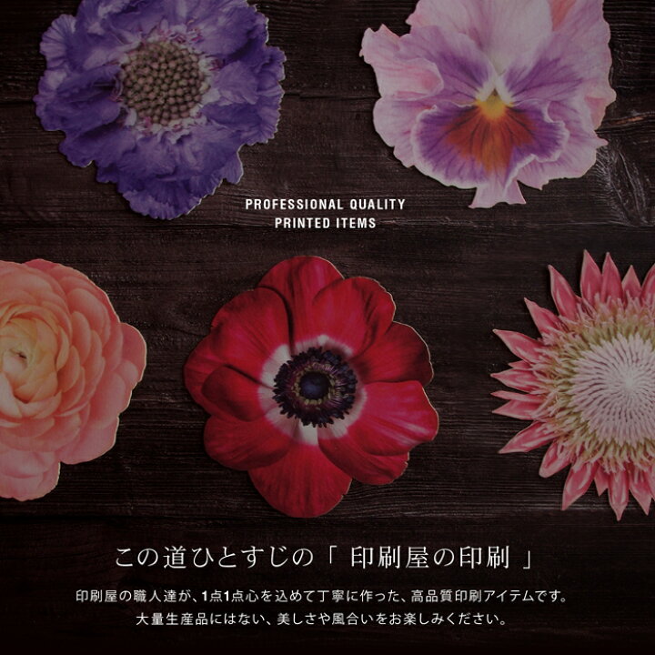 楽天市場】コースター 花 5枚セット 【送料無料】 繰り返し使える 紙製 
