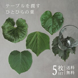 コースター リーフ 5枚セット 【送料無料】 繰り返し使える 紙製 吸水 おしゃれ ダイカット メッセージカード プチギフト 北欧 セット ハロウィン クリスマス パーティー テーブルコーディネート プレゼント 贈り物 ディスプレイ 葉 葉っぱ はっぱ 柏の葉 ツタ 蔦 ツワブキ