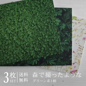 撮影背景パネル A2 3枚セット 【送料無料】 高級 撮影 背景 背景布 撮影ボックス 撮影背景 背景シート 商品撮影 商品撮影キット 高品質印刷 おしゃれ リアル デザイン 葉 自然 新緑 クローバー リーフ 小花 花 フラワー 高級感 アイテム撮影 簡易スタジオ