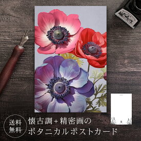 ポストカード アネモネ 【送料無料】 ボタニカル 葉書 はがき ハガキ 絵葉書 絵はがき グリーティングカード メッセージカード クリスマスカード バースデーカード ウェディングカード お祝い クリスマス バレンタイン 誕生日 おしゃれ 可愛い 花 絵 イラスト