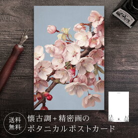 ポストカード サクラ 【送料無料】 ボタニカル 葉書 はがき ハガキ 絵葉書 絵はがき グリーティングカード メッセージカード クリスマスカード バースデーカード ウェディングカード お祝い クリスマス バレンタイン 誕生日 おしゃれ 可愛い 花 絵 イラスト さくら 桜
