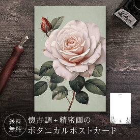 ポストカード バラ 【送料無料】 ボタニカル 葉書 はがき ハガキ 絵葉書 絵はがき グリーティングカード バレンタインカード クリスマスカード バースデーカード お祝い クリスマス バレンタイン 誕生日 おしゃれ 可愛い 花 絵 イラスト ばら 薔薇 白ばら 白バラ 白薔薇
